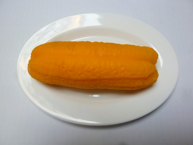 假菜模型 仿真油條模型